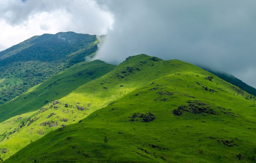 Best Kerala Tour Package – 5 Nights / 6 Days
