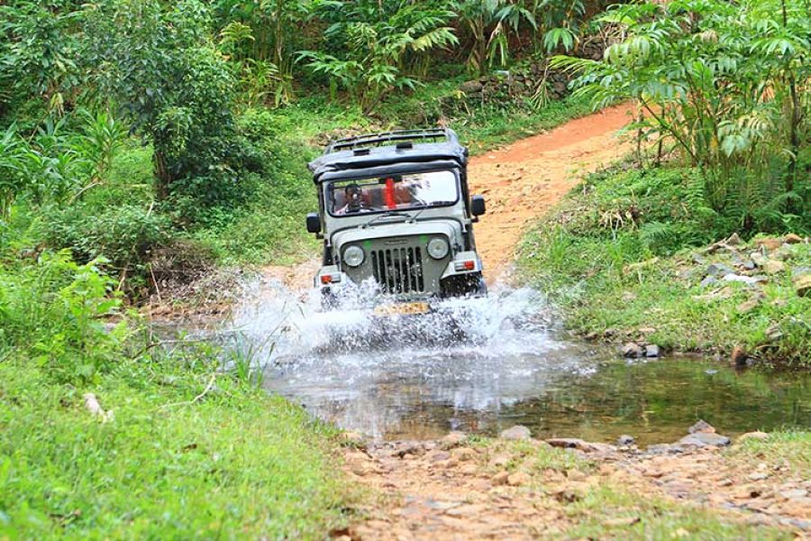 Jungle Jeep Safari in Thekkady