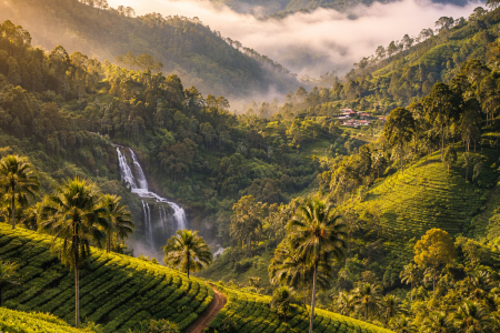 Sri Lanka Scenic Escape – 5 Days / 4 Nights